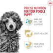 Show in main carousel: Royal Canin Breed Health Nutrition Poodle Puppy Dry Dog Food, 1.135-kg bag slide 2 of 9