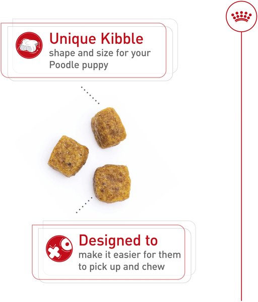 Show full view: Royal Canin Breed Health Nutrition Poodle Puppy Dry Dog Food, 1.135-kg bag slide 3 of 9