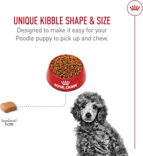 Show full view: Royal Canin Breed Health Nutrition Poodle Puppy Dry Dog Food, 1.135-kg bag slide 4 of 9