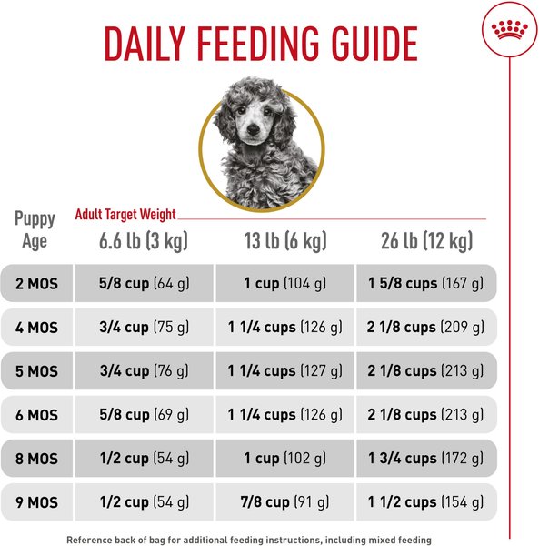 Show full view: Royal Canin Breed Health Nutrition Poodle Puppy Dry Dog Food, 1.135-kg bag slide 6 of 9