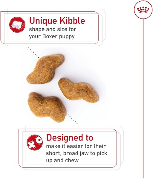 Show full view: Royal Canin Breed Health Nutrition Boxer Puppy Dry Dog Food, 13.62-kg bag slide 3 of 9