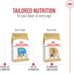 Show in main carousel: Royal Canin Breed Health Nutrition Boxer Puppy Dry Dog Food, 13.62-kg bag slide 7 of 9