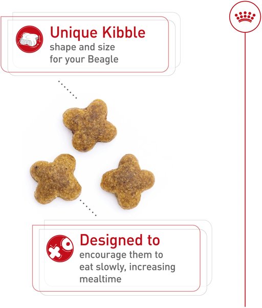 Show full view: Royal Canin Breed Health Nutrition Beagle Adult Dry Dog Food, 2.724-kg bag slide 3 of 8