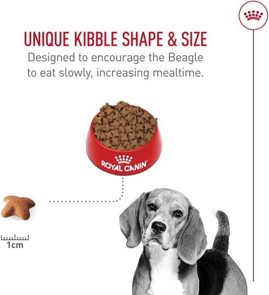 Show full view: Royal Canin Breed Health Nutrition Beagle Adult Dry Dog Food, 2.724-kg bag slide 4 of 8