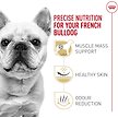 Show in main carousel: Royal Canin Breed Health Nutrition French Bulldog Adult Dry Dog Food, 2.724-kg bag slide 2 of 10