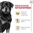 Show in main carousel: Royal Canin Breed Health Nutrition Rottweiler Adult Dry Dog Food, 13.62-kg bag slide 2 of 9