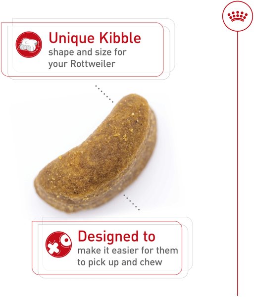 Show full view: Royal Canin Breed Health Nutrition Rottweiler Adult Dry Dog Food, 13.62-kg bag slide 3 of 9