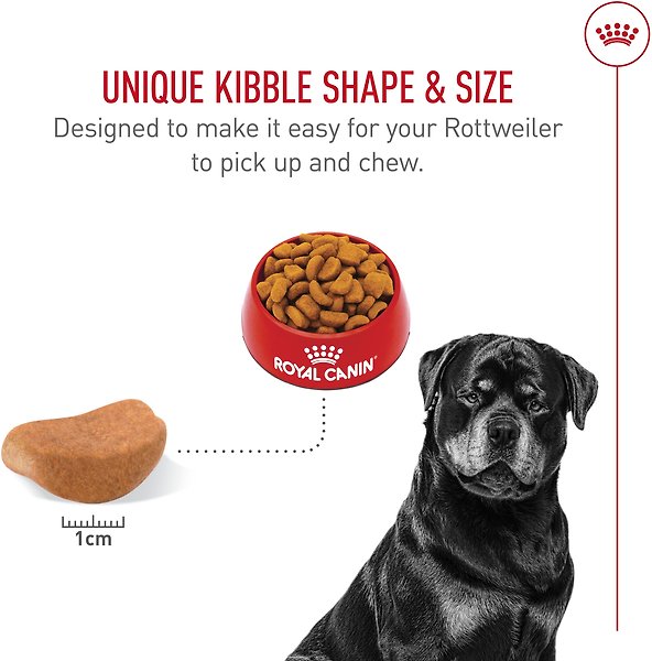 Show full view: Royal Canin Breed Health Nutrition Rottweiler Adult Dry Dog Food, 13.62-kg bag slide 4 of 9