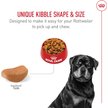 Show in main carousel: Royal Canin Breed Health Nutrition Rottweiler Adult Dry Dog Food, 13.62-kg bag slide 4 of 9