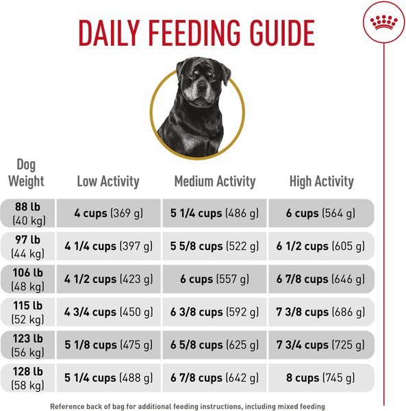 Show full view: Royal Canin Breed Health Nutrition Rottweiler Adult Dry Dog Food, 13.62-kg bag slide 6 of 9