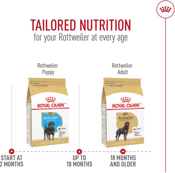 Show full view: Royal Canin Breed Health Nutrition Rottweiler Adult Dry Dog Food, 13.62-kg bag slide 7 of 9
