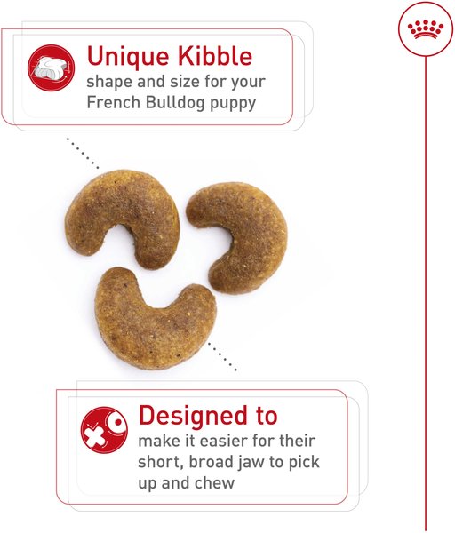 Show full view: Royal Canin Breed Health Nutrition French Bulldog Puppy Dry Dog Food, 1.36-kg bag slide 3 of 11