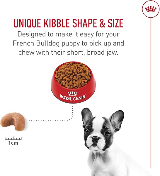 Show full view: Royal Canin Breed Health Nutrition French Bulldog Puppy Dry Dog Food, 1.36-kg bag slide 4 of 11