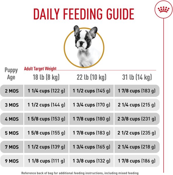 Show full view: Royal Canin Breed Health Nutrition French Bulldog Puppy Dry Dog Food, 1.36-kg bag slide 6 of 11