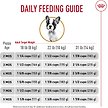 Show in main carousel: Royal Canin Breed Health Nutrition French Bulldog Puppy Dry Dog Food, 1.36-kg bag slide 6 of 11