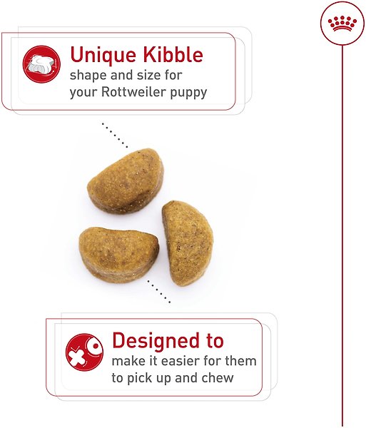 Show full view: Royal Canin Breed Health Nutrition Rottweiler Puppy Dry Dog Food, 13.62-kg bag slide 3 of 9