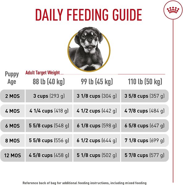 Show full view: Royal Canin Breed Health Nutrition Rottweiler Puppy Dry Dog Food, 13.62-kg bag slide 6 of 9