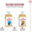 Show in main carousel: Royal Canin Breed Health Nutrition Rottweiler Puppy Dry Dog Food, 13.62-kg bag slide 7 of 9