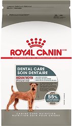 Royal Canin Canine Care Nutrition Medium Dental Care Dry Dog Food, 12.712-kg bag