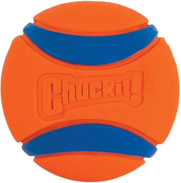 Show full view: Chuckit! Ultra Rubber Ball Tough Dog Toy, Large slide 6 of 7