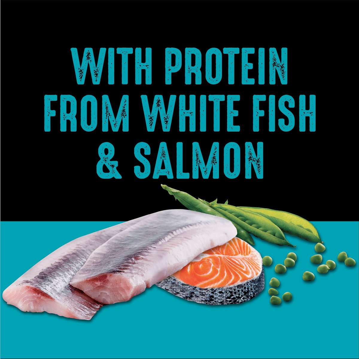 CRAVE Real Salmon White Fish Grain Free High Protein Dry Dog Food 5.44 kg bag Chewy Canada