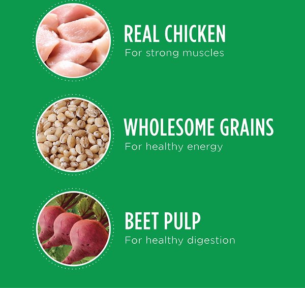 Show full view: Iams Proactive Health Chicken & Whole Grains Recipe Adult Large Breed Dry Dog Food, 13.6-kg bag slide 5 of 8