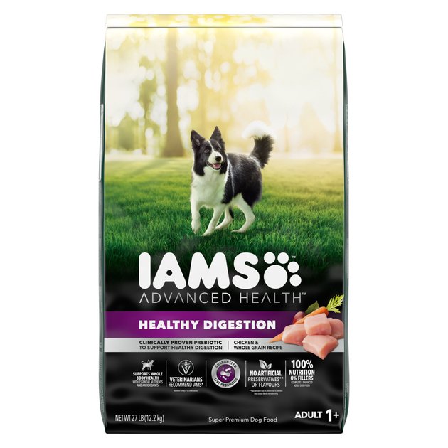 Iams dog clearance food causing itching