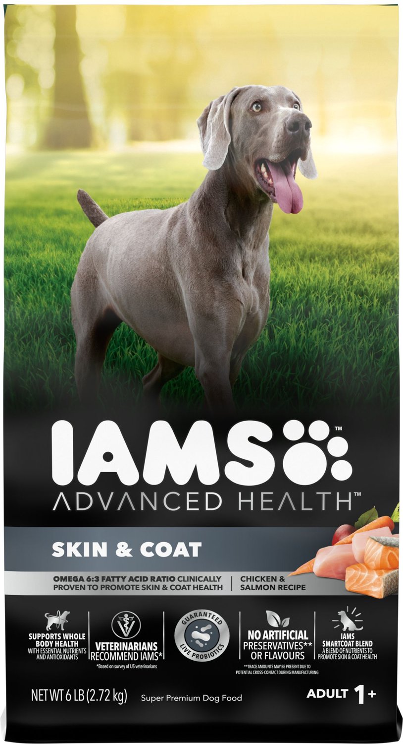 IAMS Advanced Health Skin Coat Chicken Salmon Adult Dry Dog