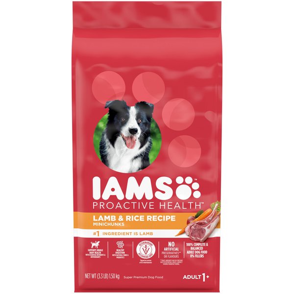 IAMS Proactive Health Minichunks Adult Chicken Whole Grain Recipe Dry Dog Food 1.5 kg bag Chewy Canada