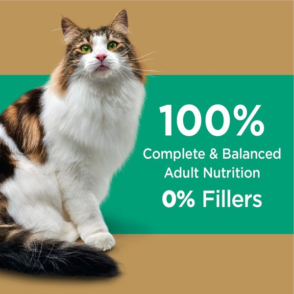 Show full view: Iams Proactive Health Long Hair Care Adult Chicken & Salmon Dry Cat Food, 1.36-kg bag slide 6 of 8