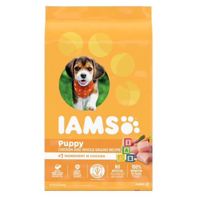 Chewy iams puppy sale