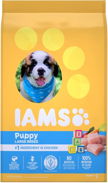 Iams big outlet breed puppy food