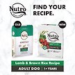 Show in main carousel: Nutro Natural Choice Large Breed Puppy Lamb & Brown Rice Recipe Dry Dog Food, 13.6-kg bag slide 6 of 8