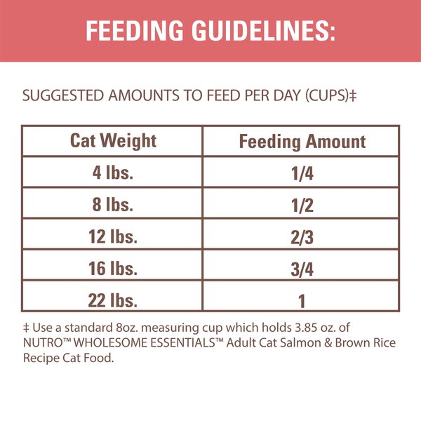 Show full view: Nutro Wholesome Essentials Adult Salmon & Brown Rice Dry Cat Food, 6.35-kg bag slide 3 of 8