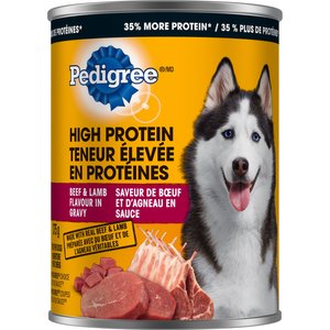 Pedigree high protein best sale