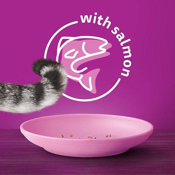 Show full view: Whiskas Seafood Selections Salmon & Shrimp Flavour Natural Adult Dry Cat Food, 2-kg bag slide 5 of 9