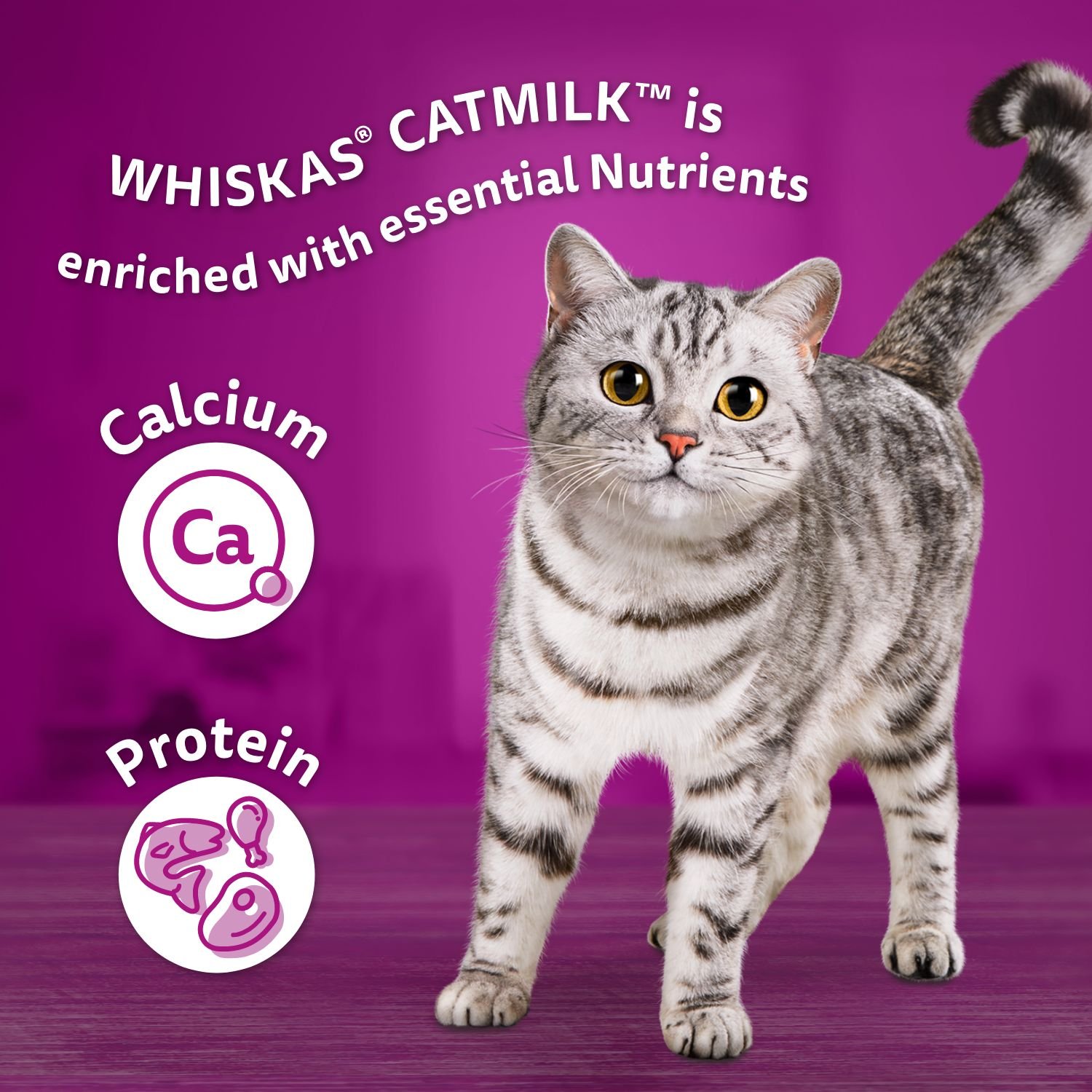 Whiskas top cat milk