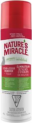 Nature's Miracle JFC Cat Stain & Odor Remover, 496-g bottle