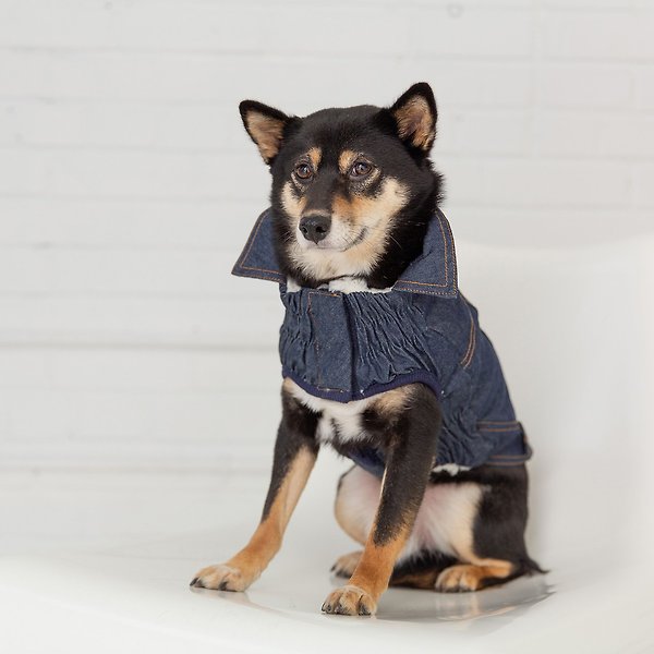Show full view: GF Pet Elasto-Fit Denim Dog & Cat Jacket, Large slide 5 of 7