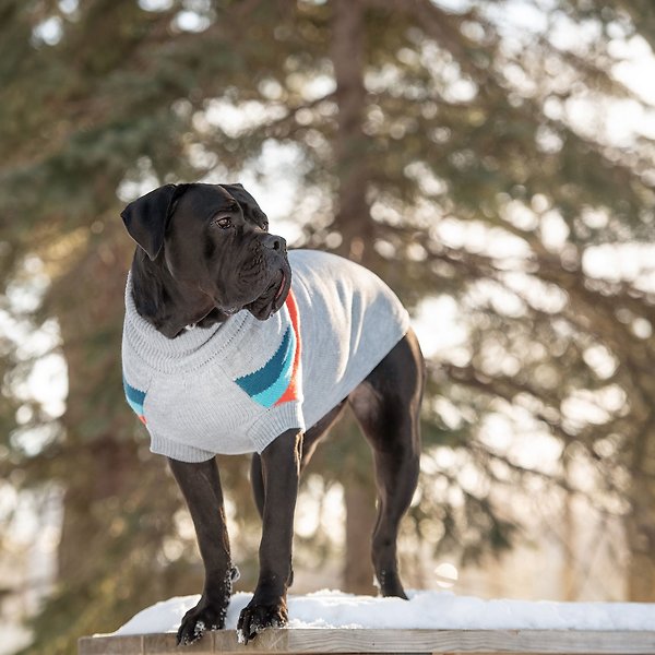 Show full view: GF Pet Alpine Dog & Cat Sweater, Grey, X-Large slide 6 of 7