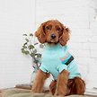 Show in main carousel: GF Pet Alpine Dog & Cat Sweater, Light Aqua, Medium slide 5 of 8