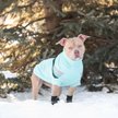 Show in main carousel: GF Pet Alpine Dog & Cat Sweater, Light Aqua, Medium slide 6 of 8