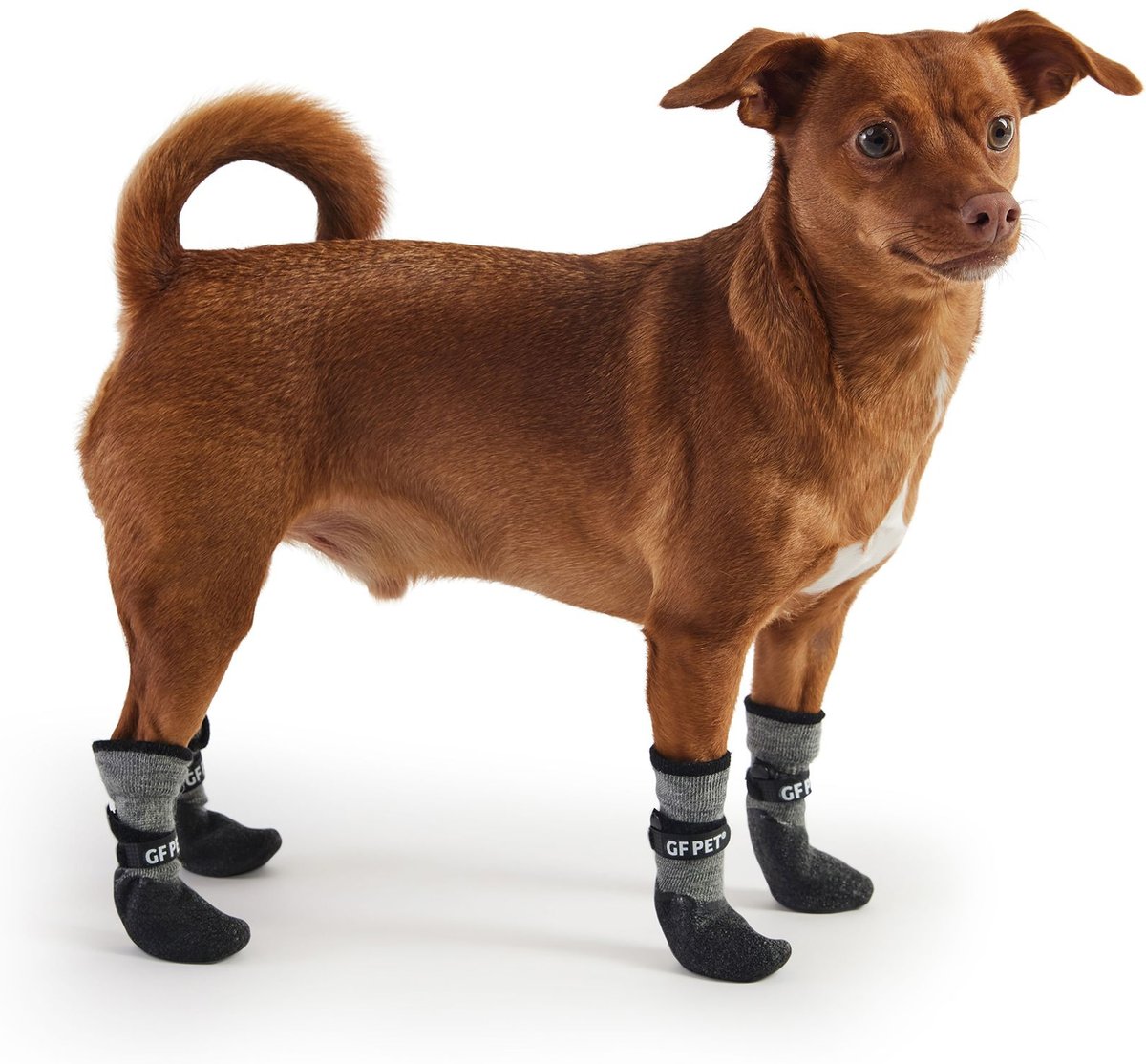 Frisco clearance dog boots