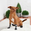 Show in main carousel: GF Pet All Terrain Dog Boots, Small slide 6 of 8