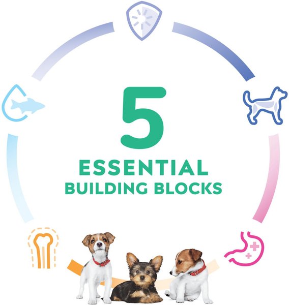 Show full view: Hill's Science Diet Puppy Small Paws Chicken Meal, Barley & Brown Rice Dry Dog Food, 2.04-kg bag slide 4 of 12