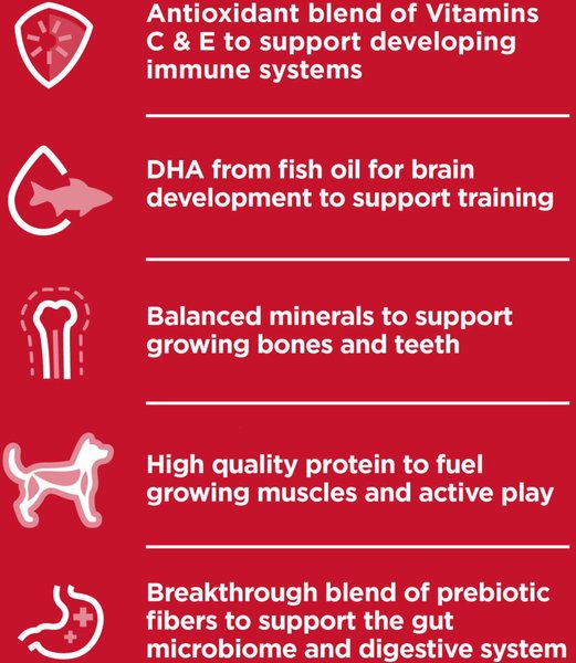 Show full view: Hill's Science Diet Puppy Small Paws Chicken Meal, Barley & Brown Rice Dry Dog Food, 2.04-kg bag slide 5 of 12