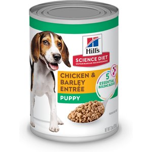 Hill's science diet puppy healthy development best sale