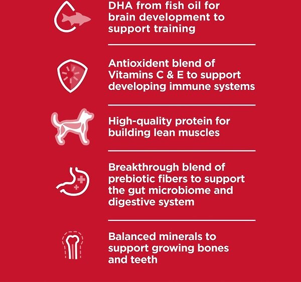 Show full view: Hill's Science Diet Puppy Chicken & Barley Entree Canned Dog Food, 370-g can, case of 12 slide 4 of 12