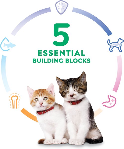 Show full view: Hill's Science Diet Kitten Liver & Chicken Entree Canned Cat Food, 156-g can, case of 24 slide 5 of 12