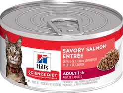 Hill's Science Diet Adult Savory Salmon Entree Canned Cat Food, 156-g can, case of 24